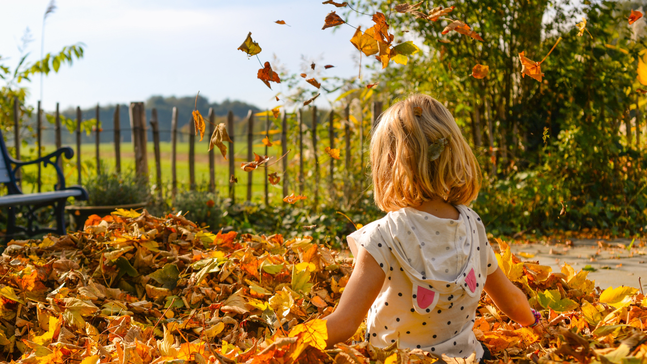 Mind-Fall-ness: The Best Calming Activities for Autumn - Cranium Kids Media